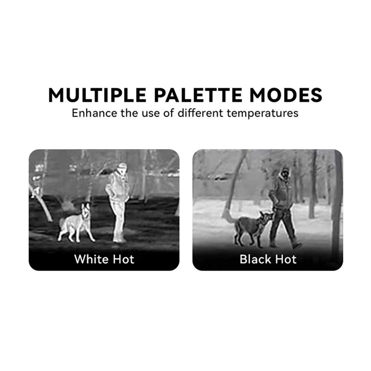وحدة تصوير حراري بالأشعة تحت ا - مراجعة Thermal Imaging Camera 256X192 وسعره